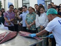 Pasiar pengucapan Bitung, Wawali Manado saksikan proses ‘bedah’ ikan