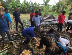 Lagi, Walikota Manado Bakar Batu bersama warga asal Papua
