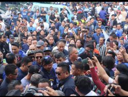 Kawal GSVL-Mor daftar Pilkada di Nasdem, Tim Rajawali komitmen hingga akhir