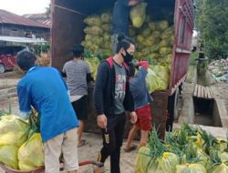 Golkar Sulut bagikan 1.000 paket hortikultura bagi masyarakat Minsel