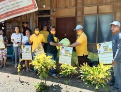 CEP dan MEP bagikan paket hortikultura di Kecamatan Tatapaan