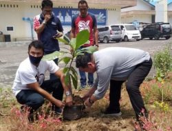 HUT ke-1 Pasar Restorasi, PD Pasar Manado tanam pohon Ketapang