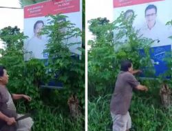 (VIDEO) Sejuk, pendukung PAHAM bersihkan baliho Mor-HJP yang tertutup kusu-kusu