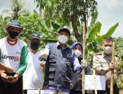 Maknai Hari Tani Nasional 2020, Walikota GSVL “Bakobong” di perkebunan Meras