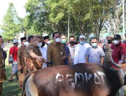 Pemkot Manado sumbang 42 ekor hewan kurban di Idul Adha, Wawali RS: Semoga berkah