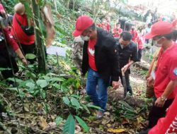 Jelang peringatan Sumpah Pemuda, FDW-PYR lakukan penghijauan di Pakuure