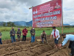 Dukung ketahanan pangan, Bupati FDW canangkan program Upland di Modoinding