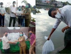 Danau Seledan di Desa Tombatu Dua Barat “diserbu” ratusan ribu benih ikan Nila