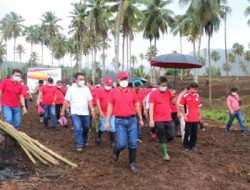 Diawali dengan gerakan “Marijo Batanam”, rangkaian kegiatan HUT 19 Minsel resmi dibuka