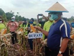 Pertanian punya peran strategis untuk meningkatkan kesejahteraan masyarakat