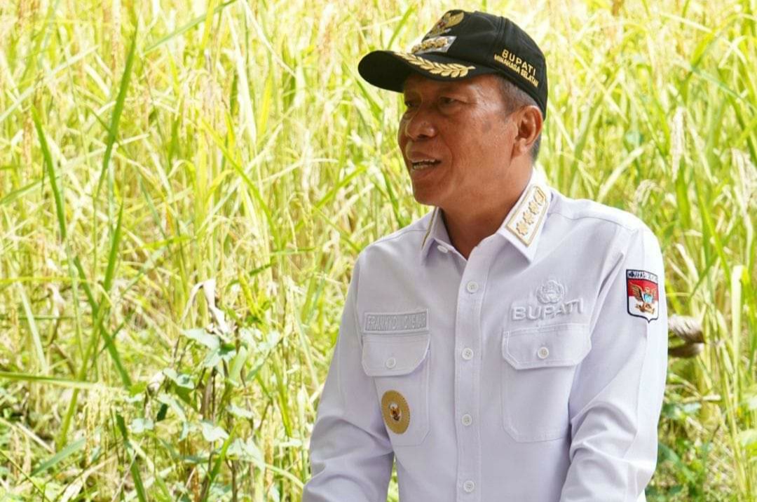 Bupati Franky Donny Wongkar SH