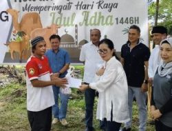 Momentum Idul Adha 1446 H, BSG Serahkan Bantuan Hewan Kurban 18 Ekor Sapi untuk Umat Muslim di Sulut dan Gorontalo