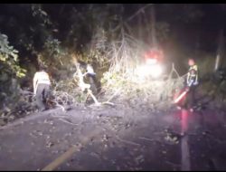 Personel Polres Mitra Respon Cepat Evakuasi Pohon Tumbang di Jalan Ratahan – Belang