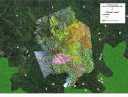 Hormati Proses Tidak Mau Mendahului APH dan Pemerintah , WL : Pertemuan Dengan Warga Ditiadakan