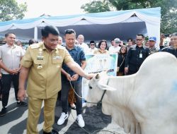 Pemprov Sulut Salurkan Hewan Kurban, Gubernur YSK Akui Jumlahnya Disesuaikan Karena Kenaikan Harga dan Kemampuan Anggaran