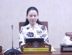 Terkait Polemik Pekerja Butuh Dengan Vendor RSUP Prof Kandou, Cindy Wurangian Minta Pembentukan Tim Mediasi