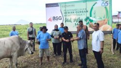 BSG Salurkan 19 Ekor Sapi Kurban di Idul Adha 2026, Komitmen Menjaga Tradisi Berbagi