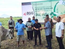 BSG Salurkan 19 Ekor Sapi Kurban di Idul Adha 2026, Komitmen Menjaga Tradisi Berbagi